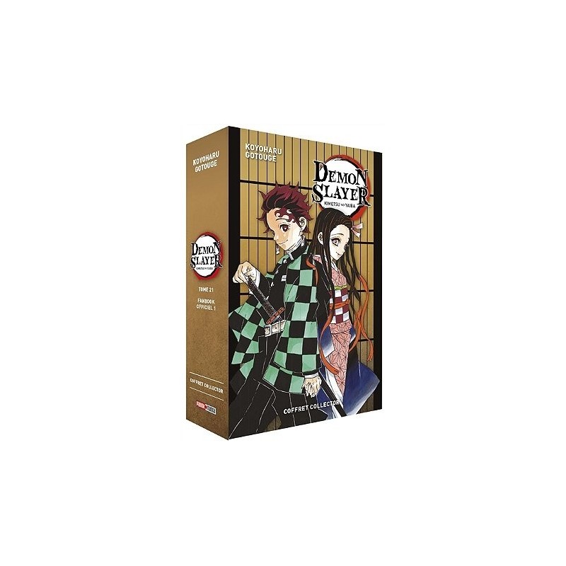 Demon slayer (manga)