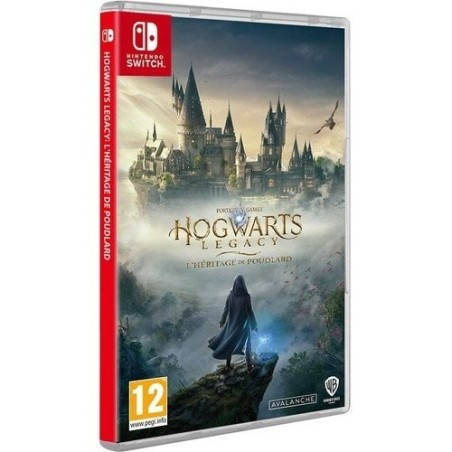 Hogwarts Legacy : L'heritage De Poudlard