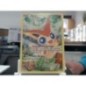 carte pokemon - Victini
