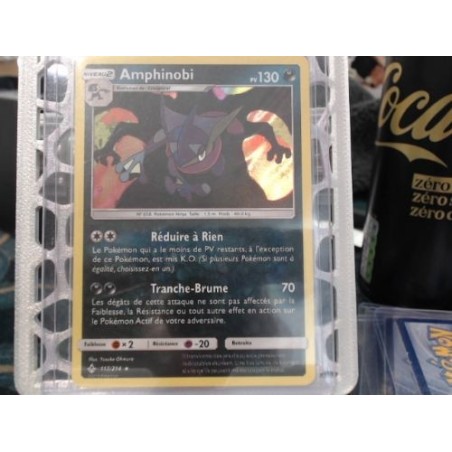 Carte Pokemon - Amphinobi